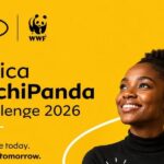 PachiPanda Challenge 900x600