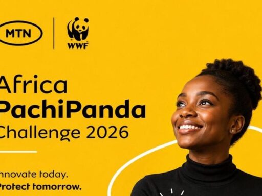 PachiPanda Challenge 900x600