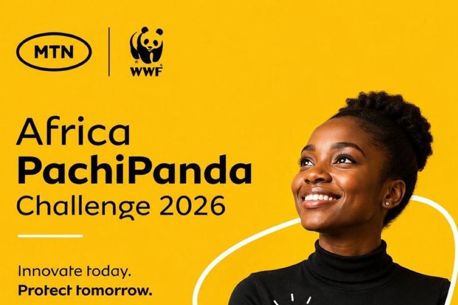 PachiPanda Challenge 900x600