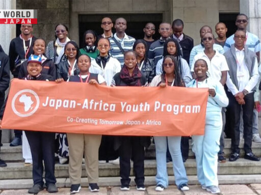 Japan Africa Youth Program 2026, anime exchange program Africa, JICE MOFA animation scholarship,